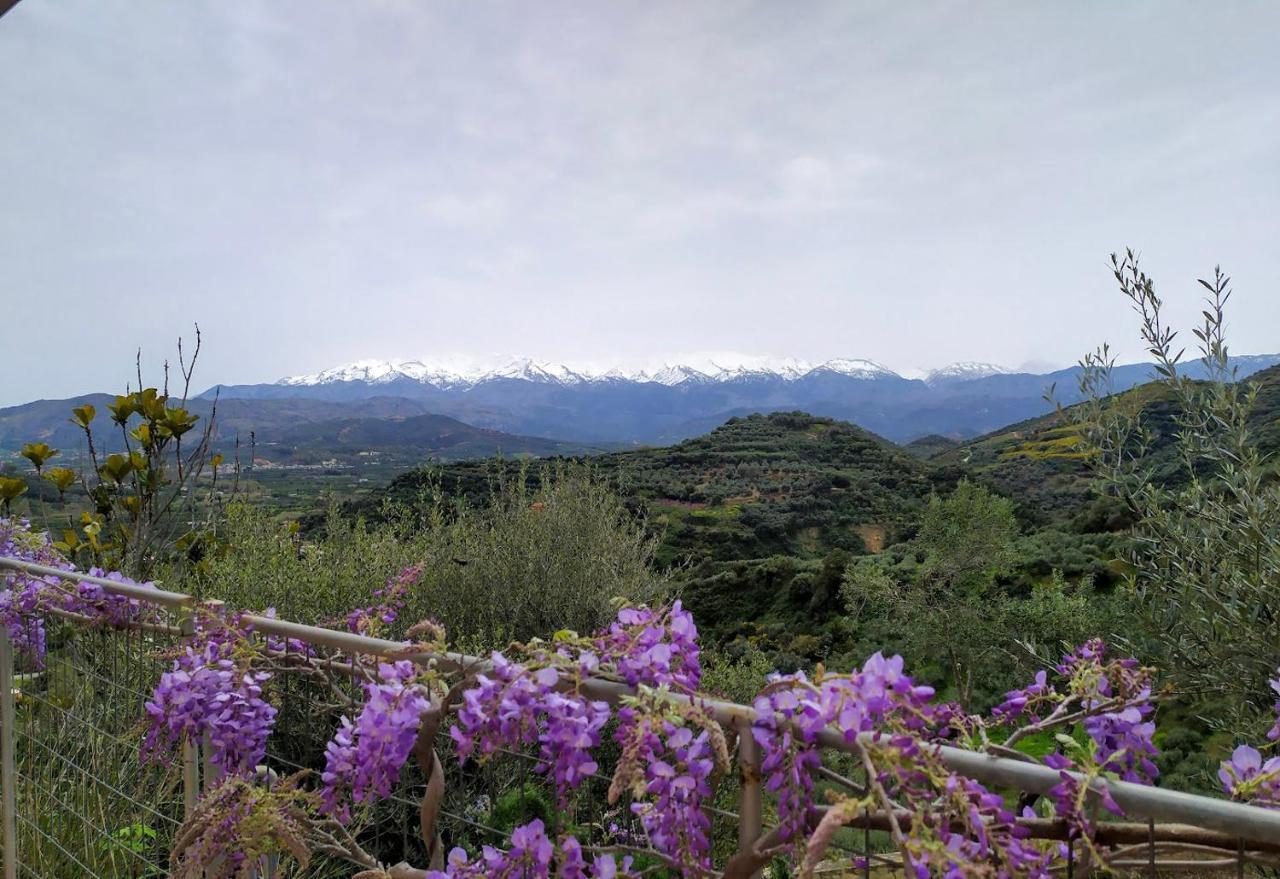 Villa Orgoni Patellari Exteriér fotografie